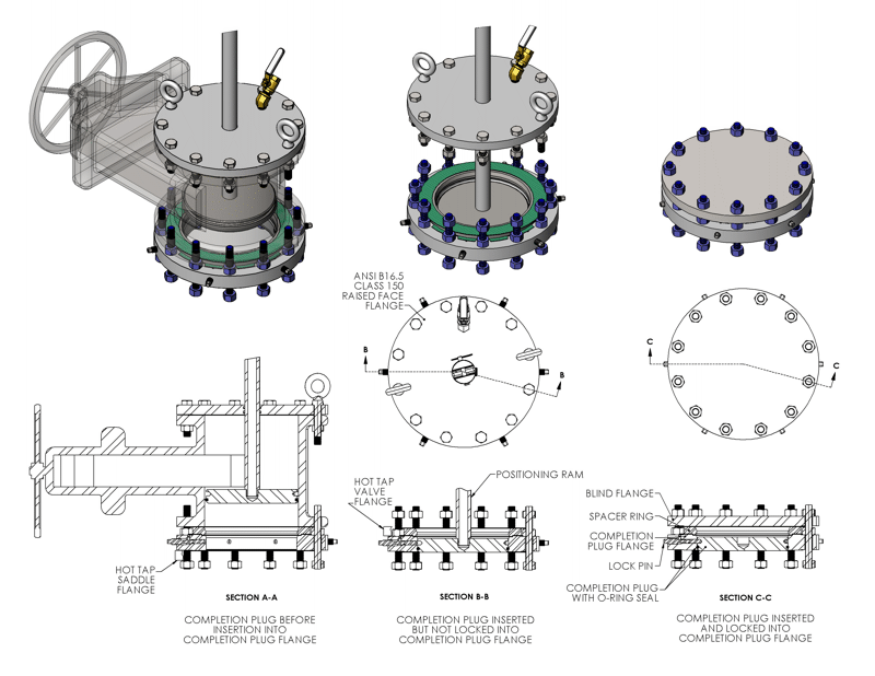 Petersen Completion Plug, 150 Series